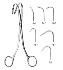 Alternative view of Crocodile Forceps 674